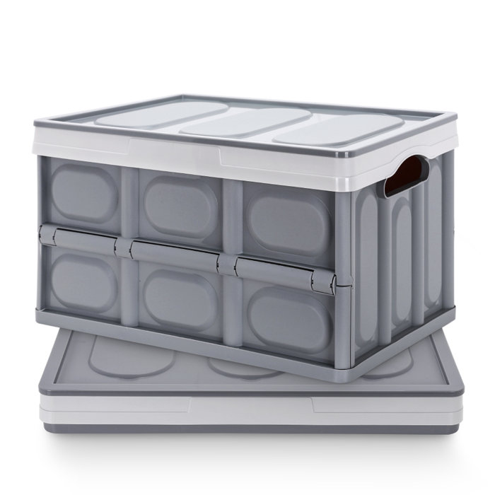 Rebrilliant 50l Storage Bins With Lids Collapsible Pack Of 2 Plastic